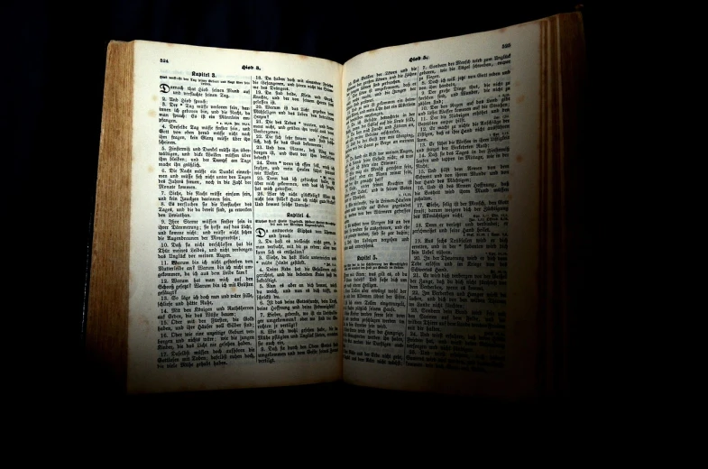 a book opened to show the text