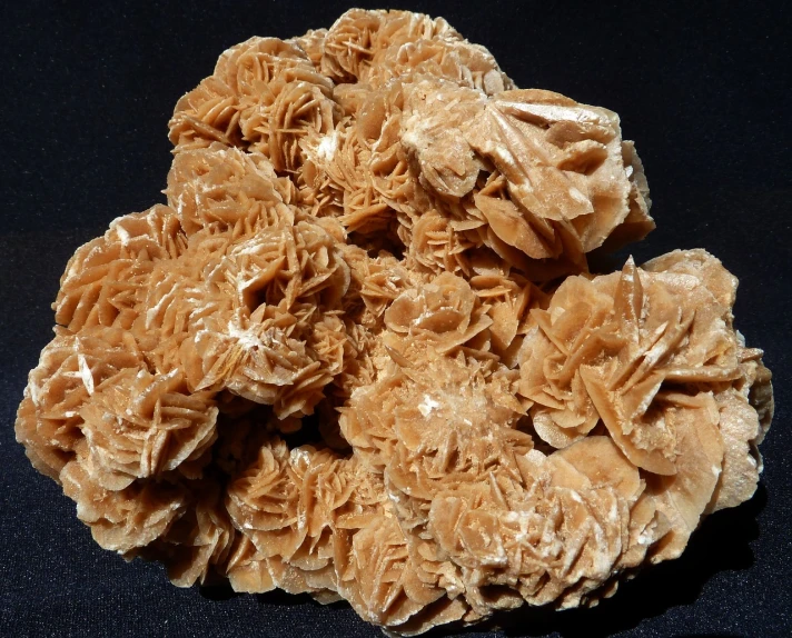 large brown flower on top of the black counter