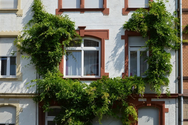 the view of a house has many plants growing out of it