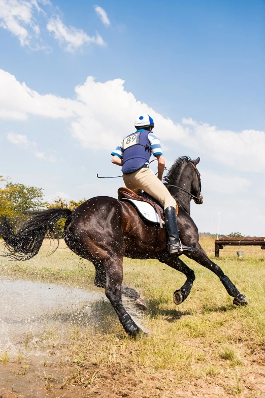 a man on a horse jumping in the water