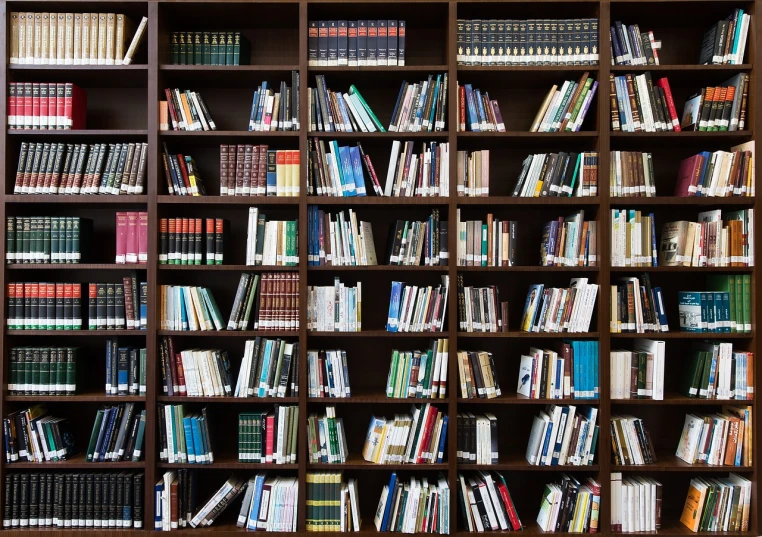 rows of books on wooden shelving in room