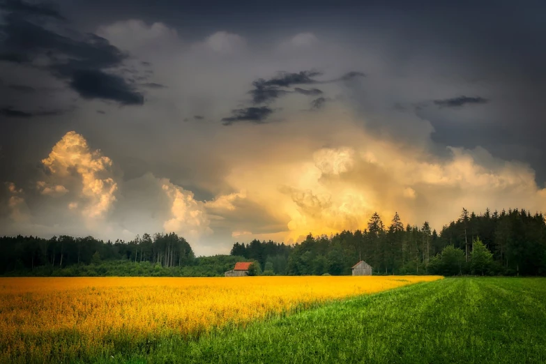 a field with trees and sky full of clouds