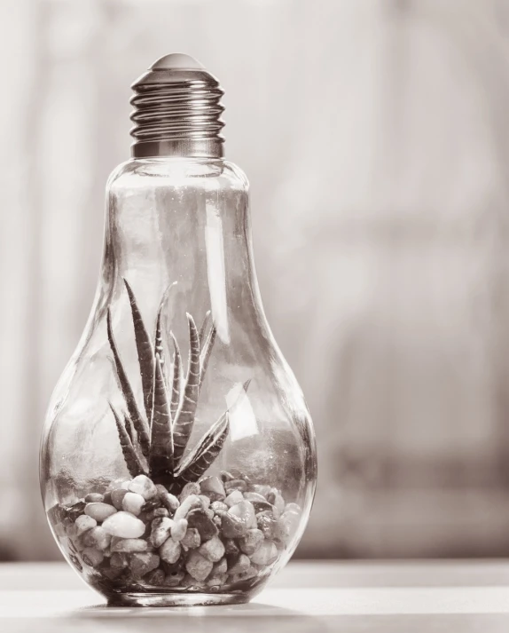 a light bulb with a small succulent inside