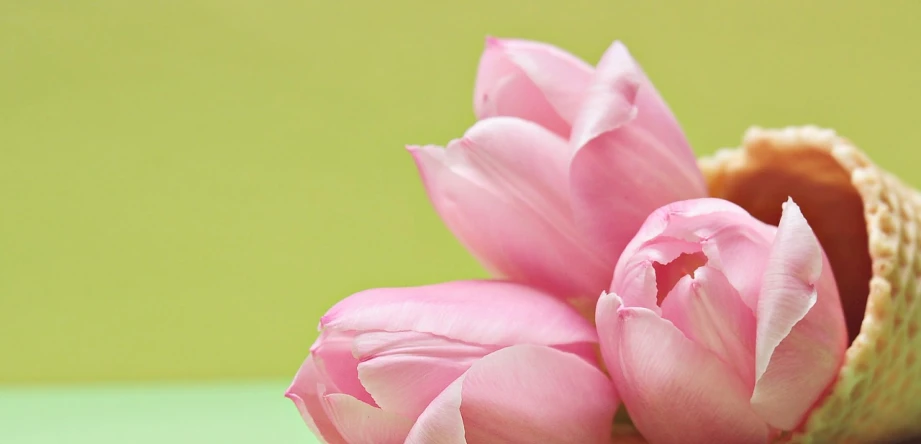 a pink flower is in a wicker basket on a table