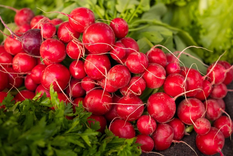 a bunch of radishes growing in dirt on top of some leaves