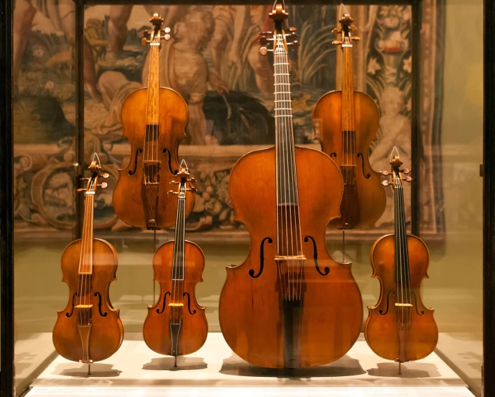 there are four cellos on display on the stand