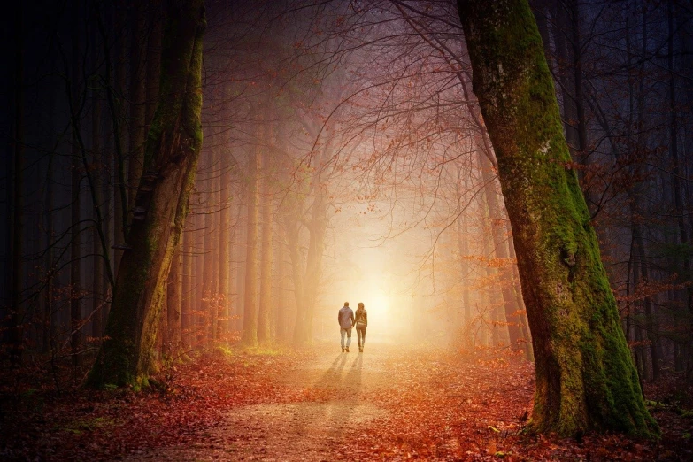 a couple walking together down a path in the woods