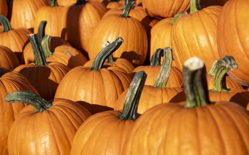 many orange pumpkins are shown stacked together