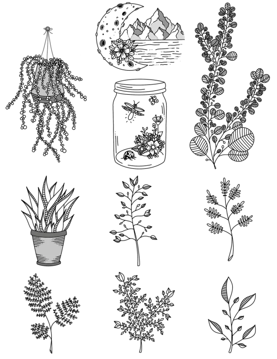 a plant in a white pot on black background