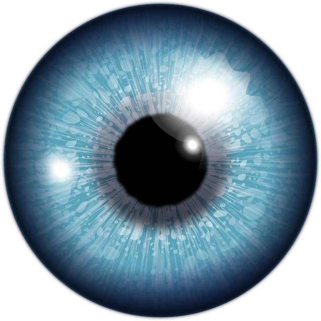 an iris of the blue eye is pictured