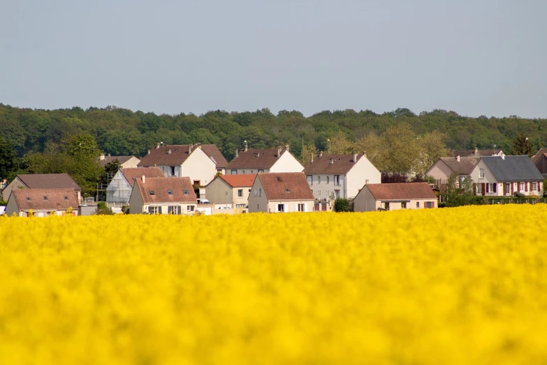 an image of a field that has buildings on it