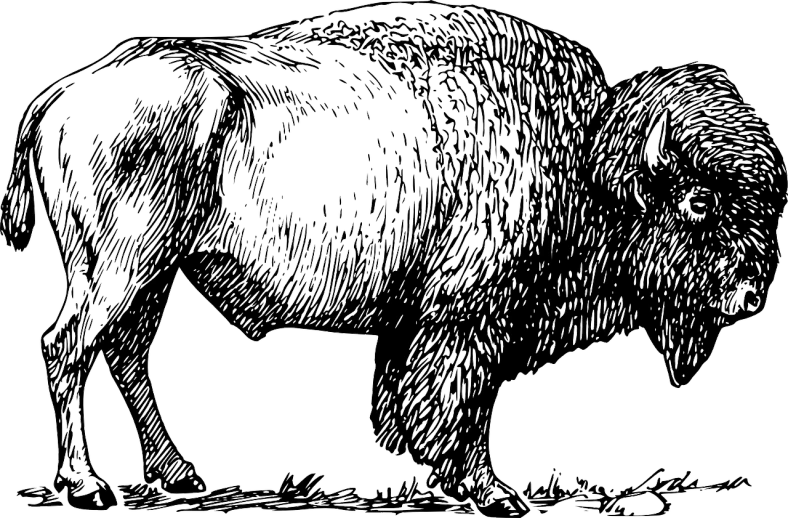 a silhouette picture of a horse in the shadow