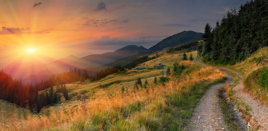 the sun sets in over mountains with trees and grass on the ground