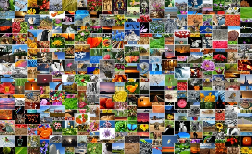 many different images are grouped together in this mosaic