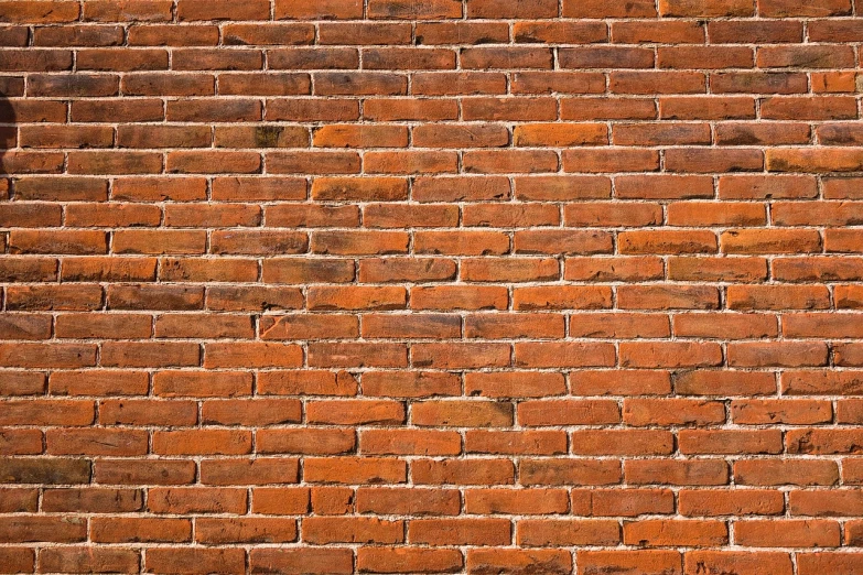 a bird stands on the side of a brick wall