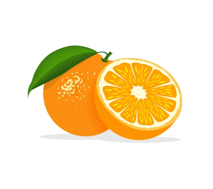 a sliced orange with a leaf on top