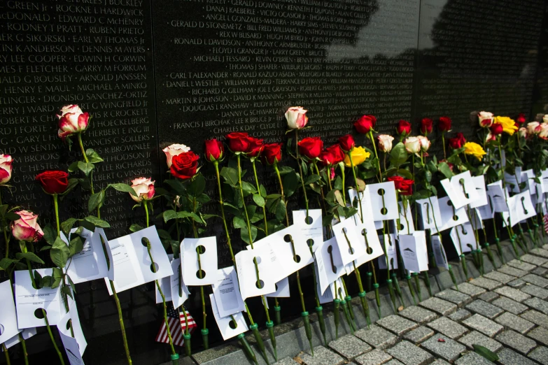 roses placed on memorial wall for the people who ed murdered