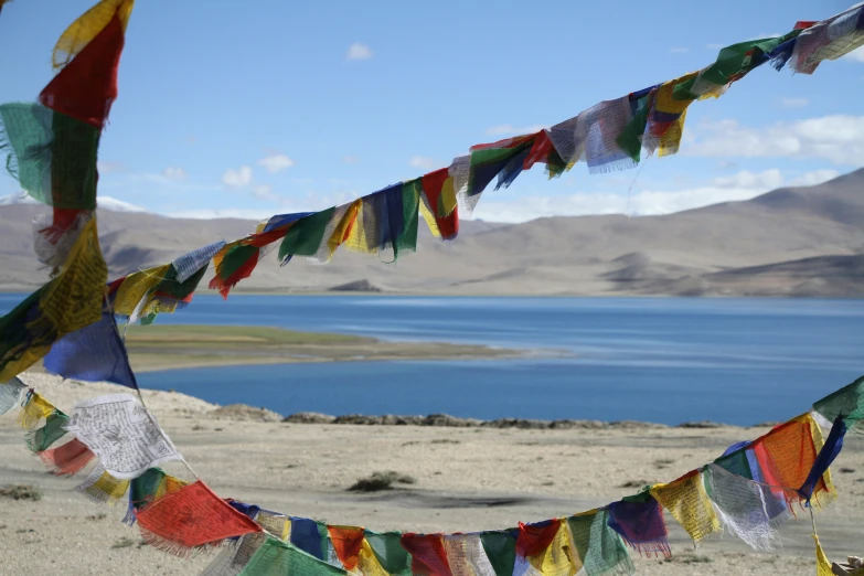 a variety of colorful flags hanging over the sand