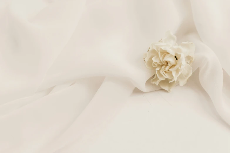 closeup view of a flower in white silk