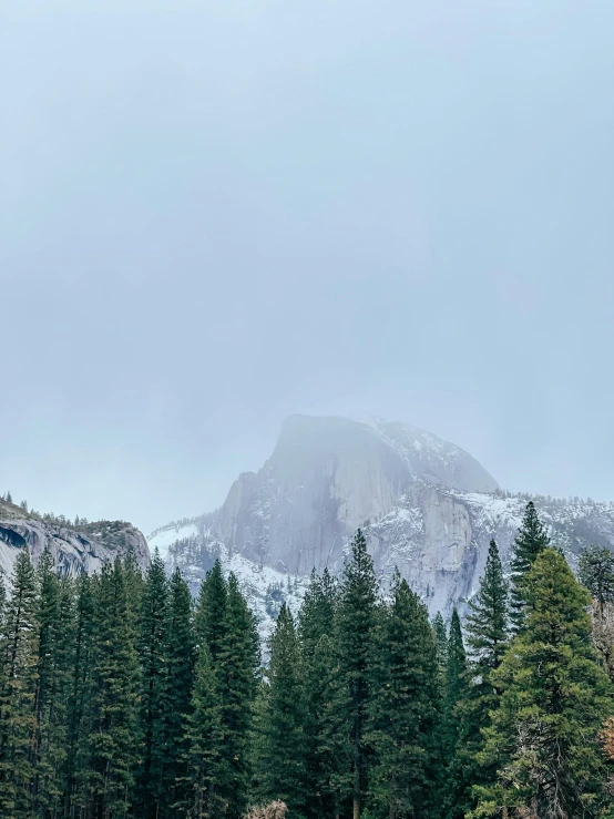 the mountains with snow on the tops and trees in front