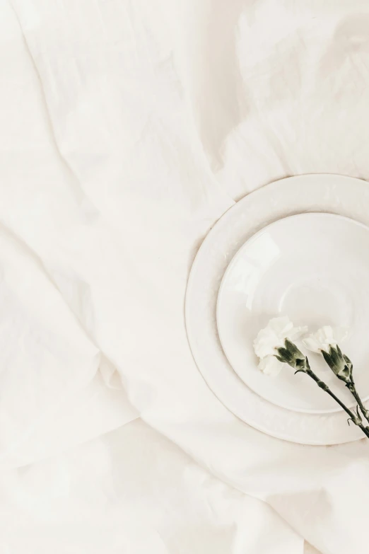 two small flowers sit on a white plate