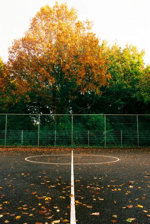 a tennis court with leaves scattered all over the ground