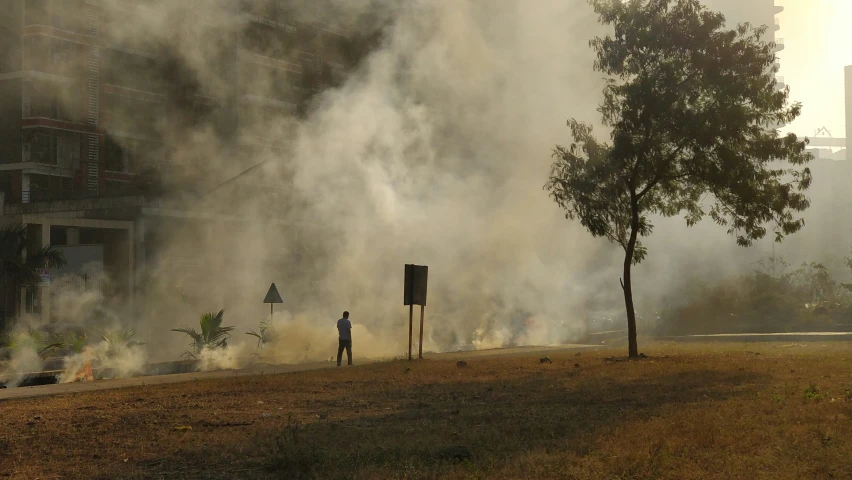 smoke is rolling on the ground near a man and tree