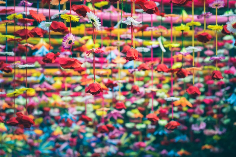 large display of flower petals and other colorful objects