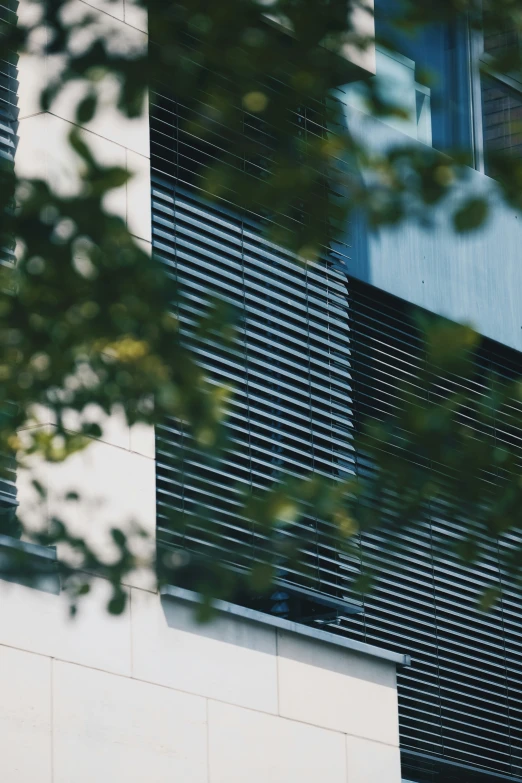 a clock on a city building as seen through the trees