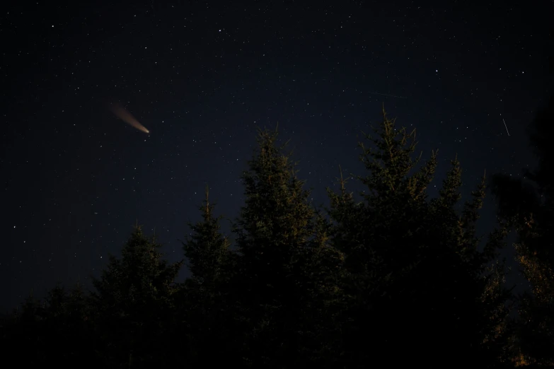 the stars and the moon are visible over some trees