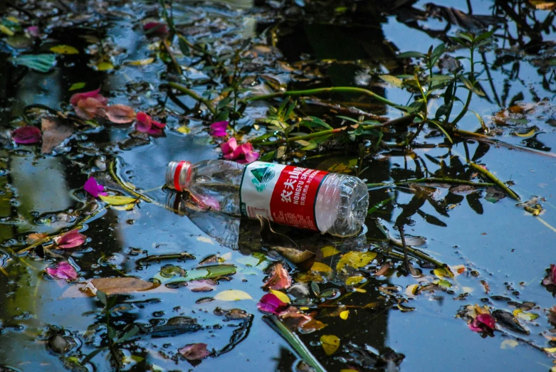 a can of coca - cola water floating on a wet surface