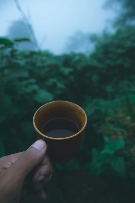 a person holding a cup in their hand