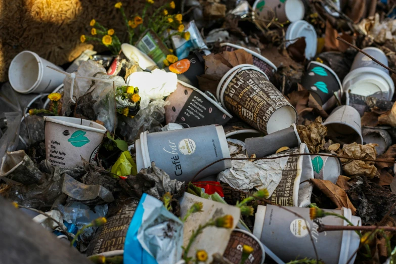 garbage dumps filled with old books and other debris