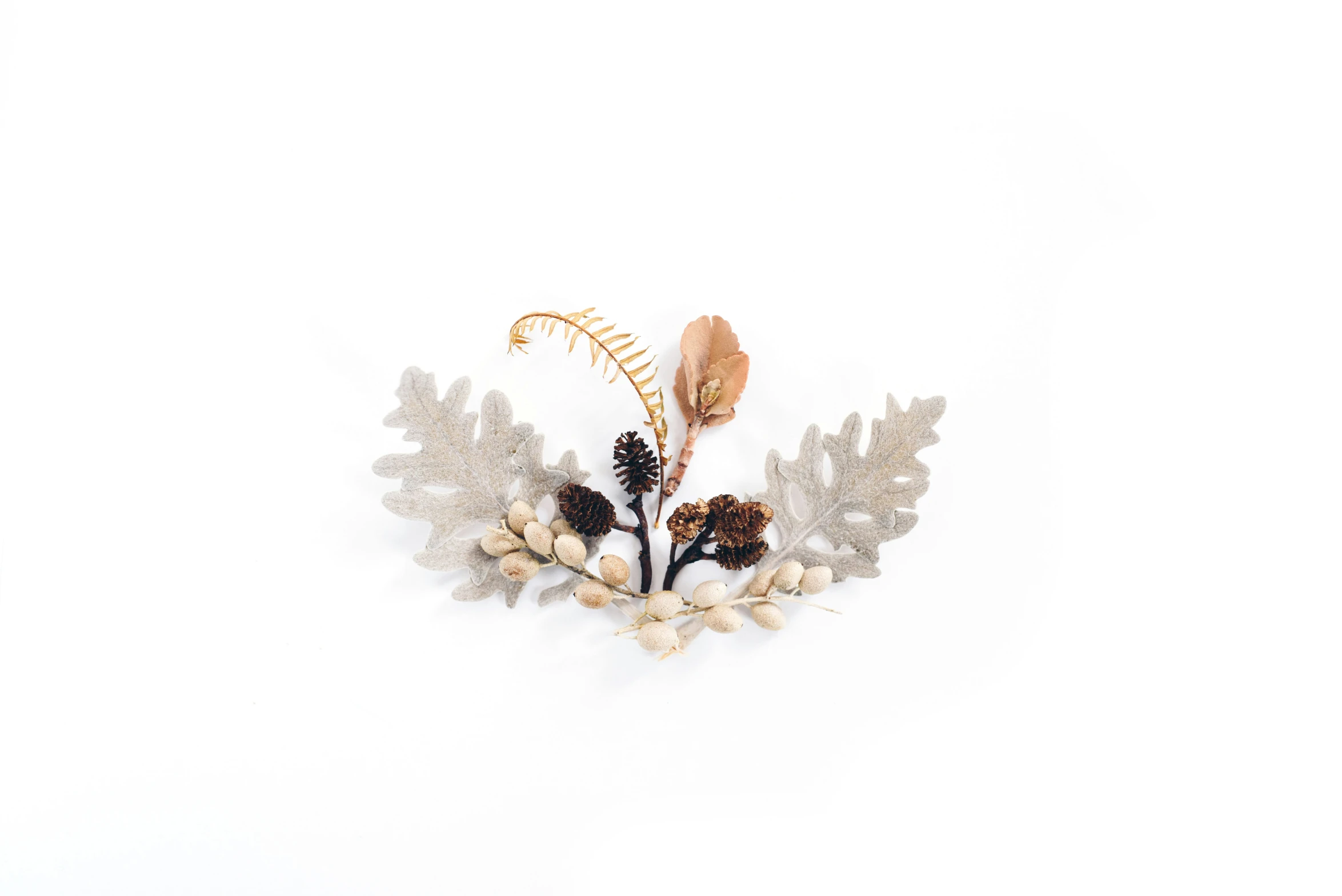 dried flower and leaf decoration against white background