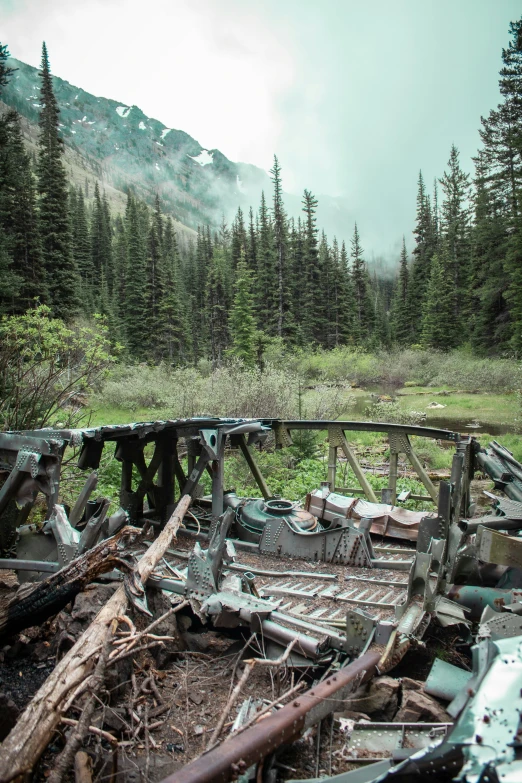 there is a destroyed wooden structure in the middle of a forest