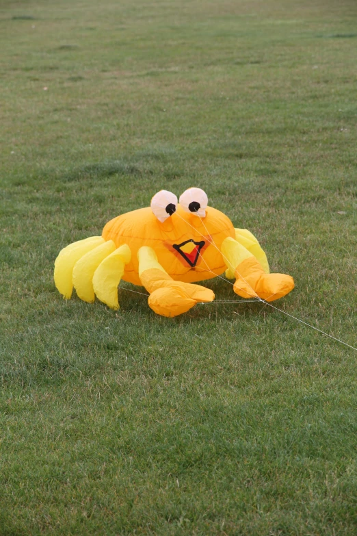 a stuffed yellow crab on the grass with eyes showing