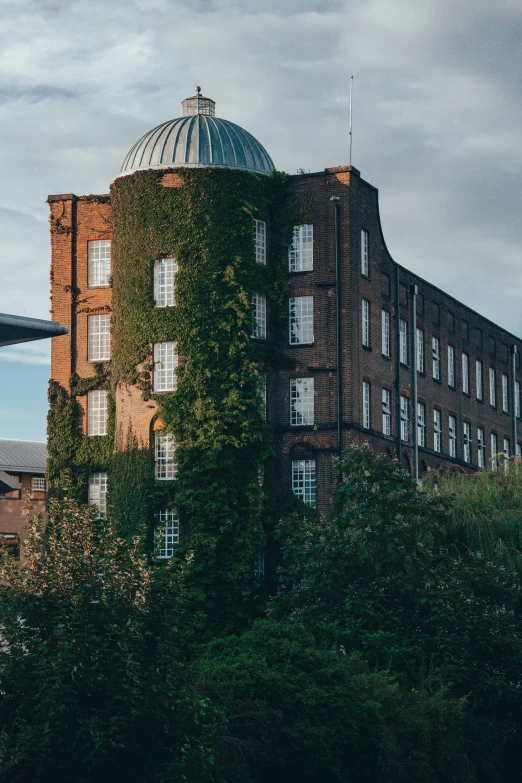 a very tall building with ivy growing on it