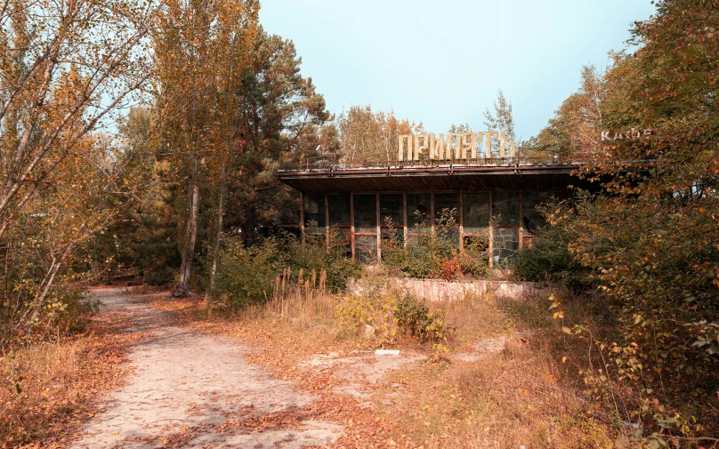 there is a abandoned cabin surrounded by trees