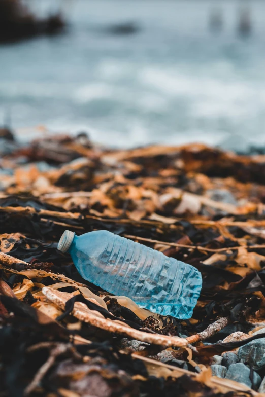 a plastic bottle is lying on the beach