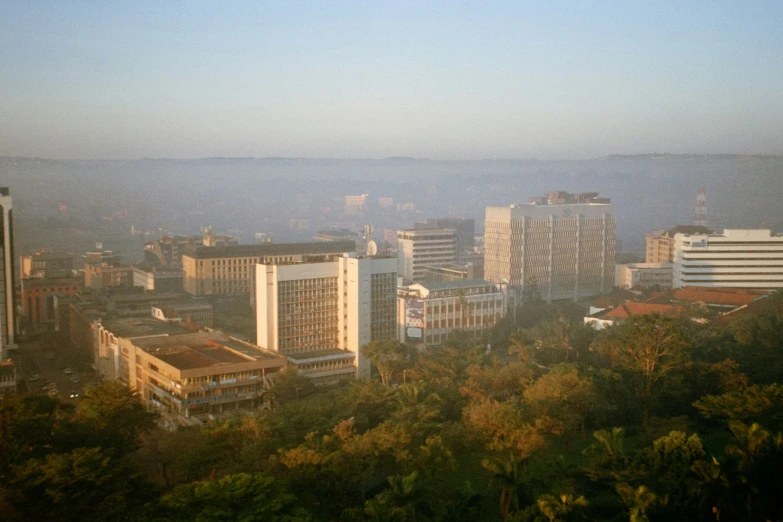 the skyline with skyscrs are surrounded by trees