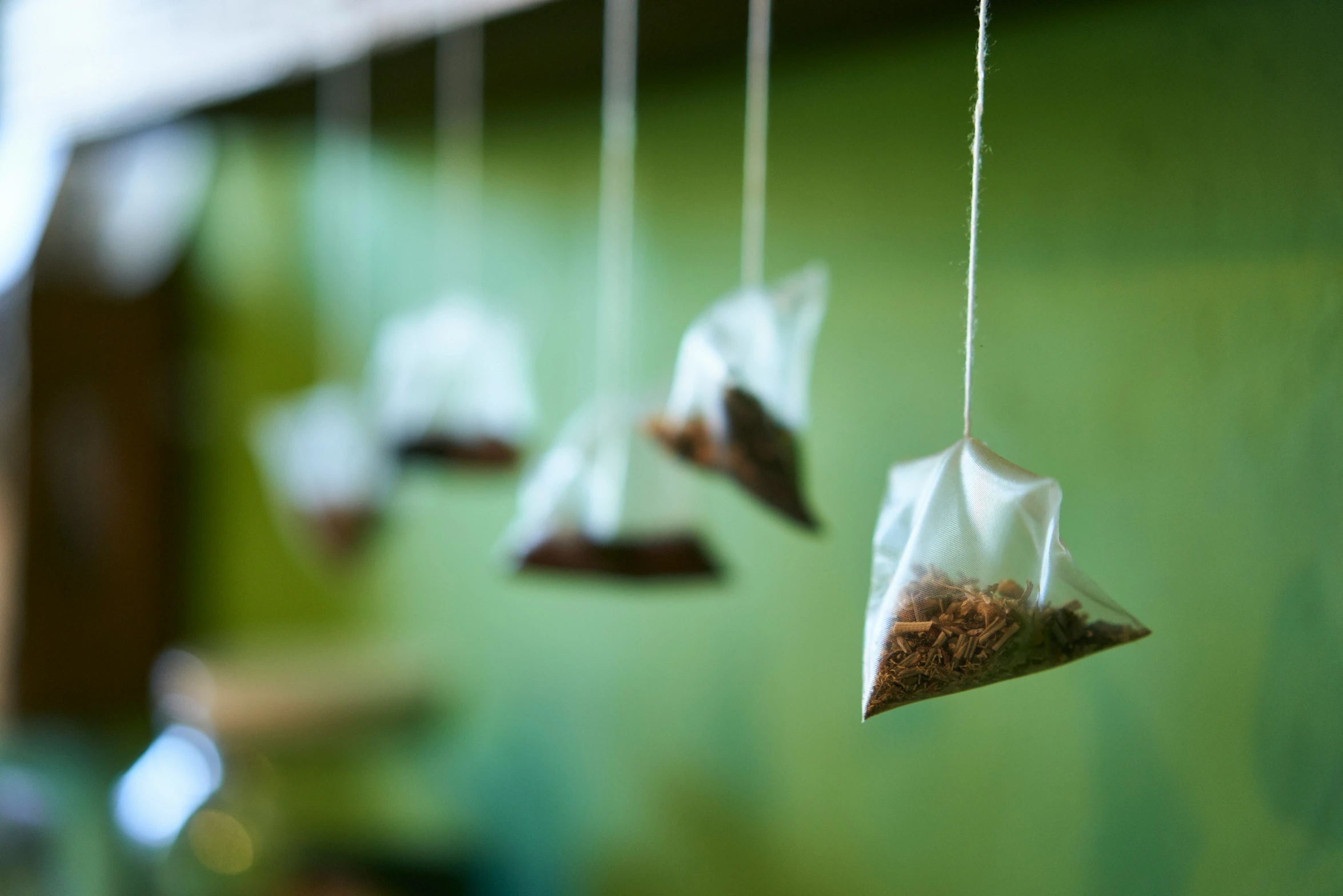 small birds with tea bags hanging from strings
