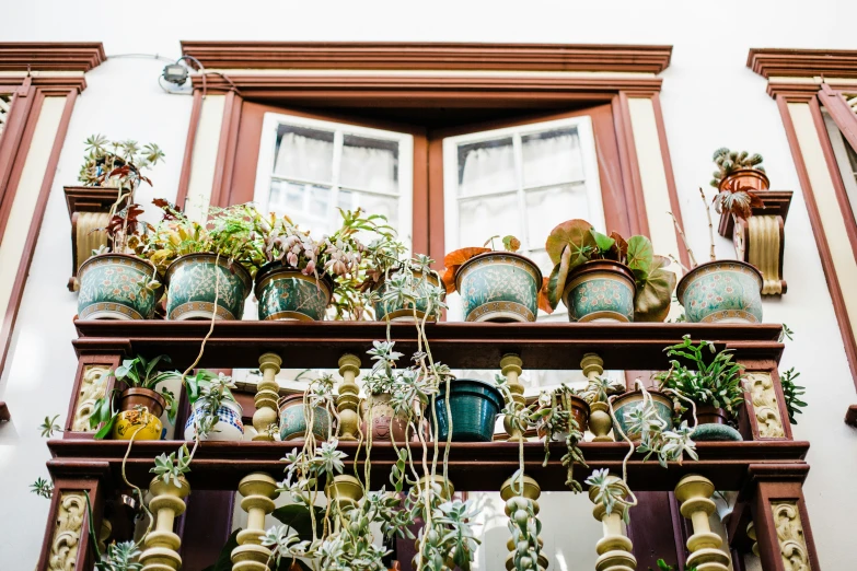 a shelf filled with ceramic pots and plants in front of a window