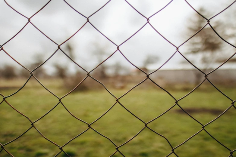 a blurry picture through a wire fence in a green grassy field