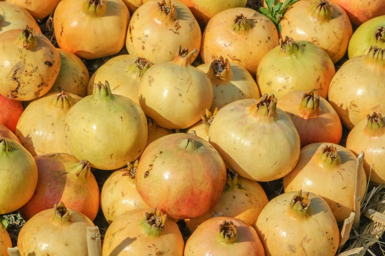 a basket filled with lots of apples covered in dirt