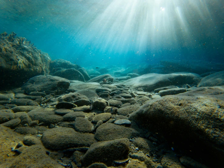 sun beams shine through the water to create an underwater scene