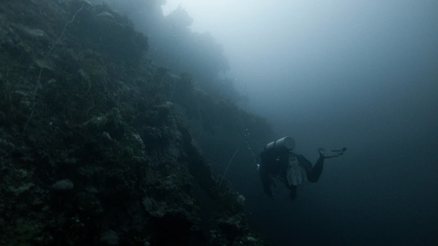 a person swimming by some rocks in the ocean