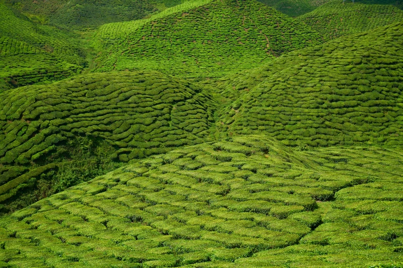 the top of two hills in a lush green landscape