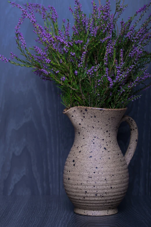 a plant with purple flowers in a decorative pitcher