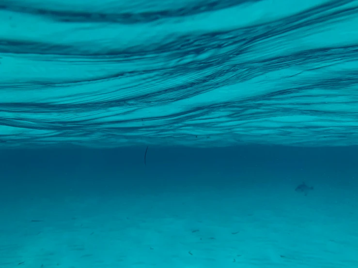 the water looks as though it is in an ocean