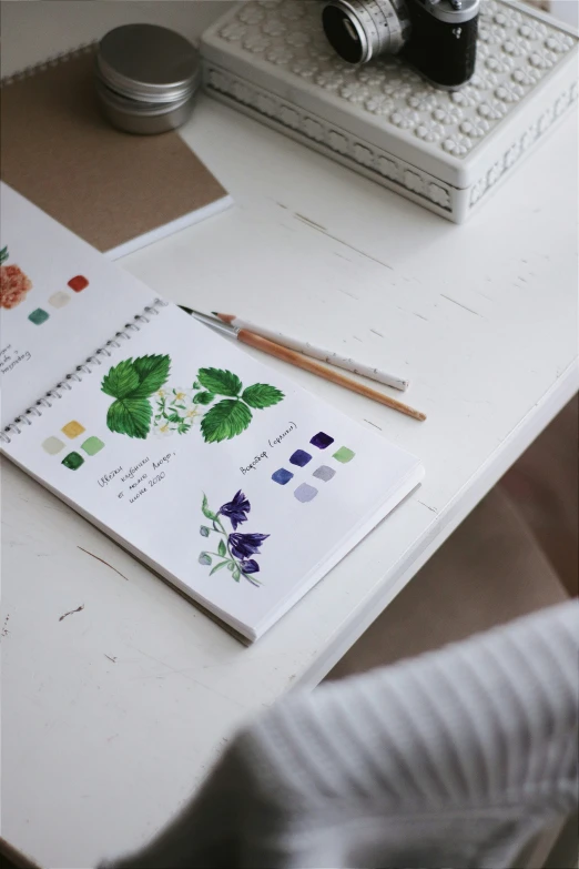 notebook with illustrations of wildflowers on white paper